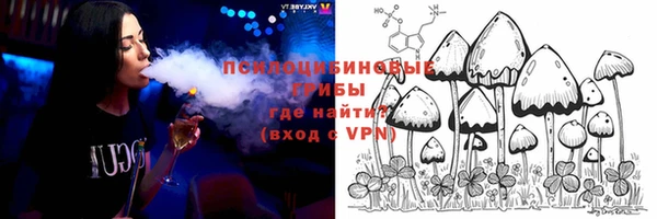 ГАЛЛЮЦИНОГЕННЫЕ ГРИБЫ Переславль-Залесский