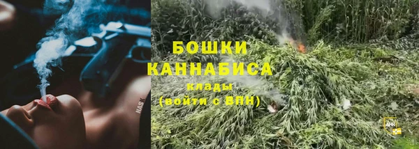 дживик Абаза